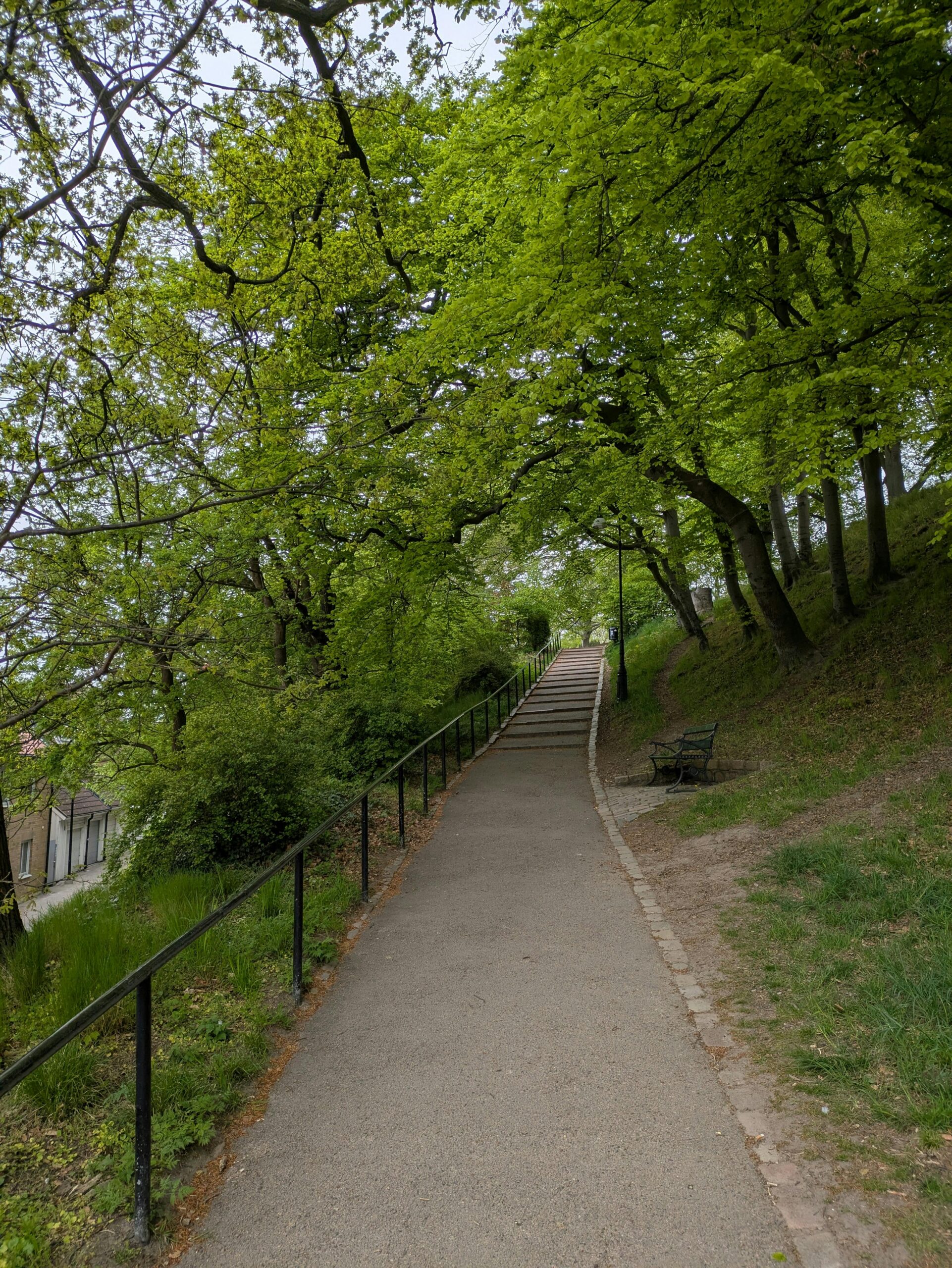 Green walking path representing support, reflection and gradual change through individual counselling.