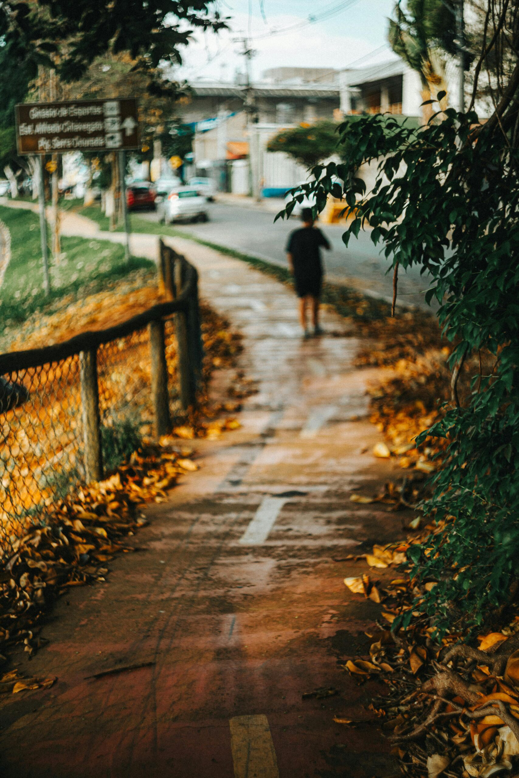 Person walking along a quiet path, representing the experience of depression and the process of seeking support.